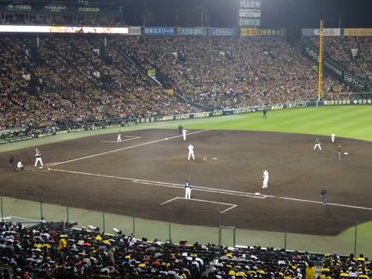 甲子園球場の座席のおすすめは？初めてなら料金よりも目的で選ぼう 